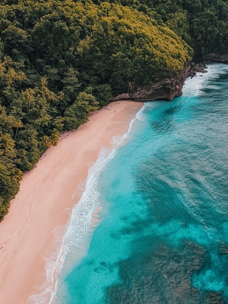 Aerial View Of A Tropical Beach 7