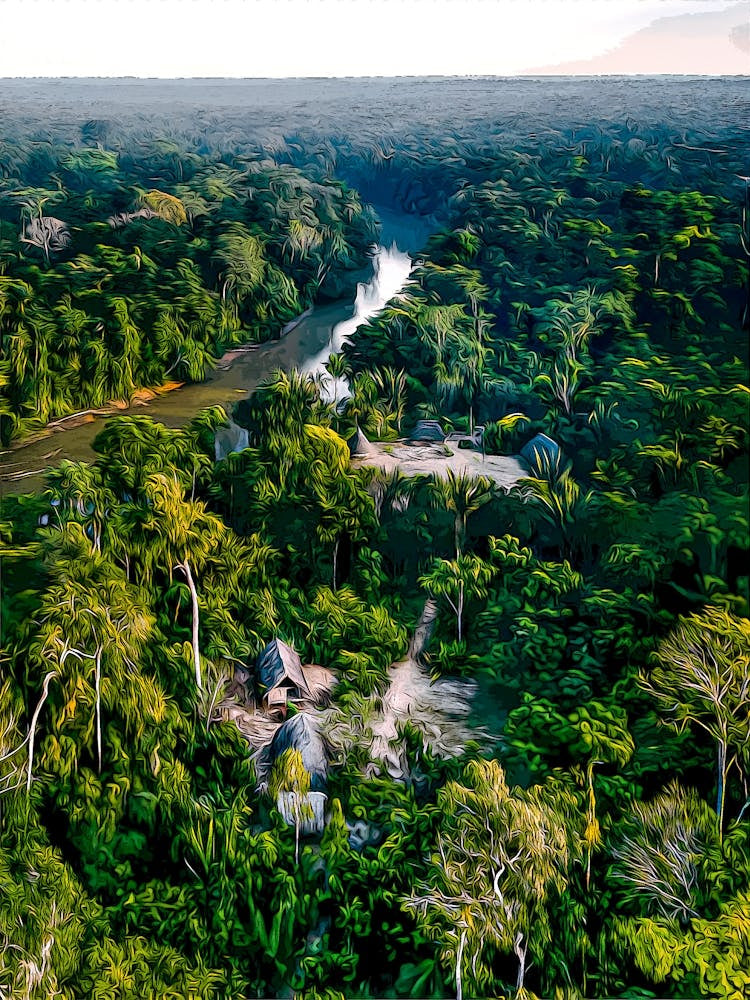 Amazon Indigenous Community