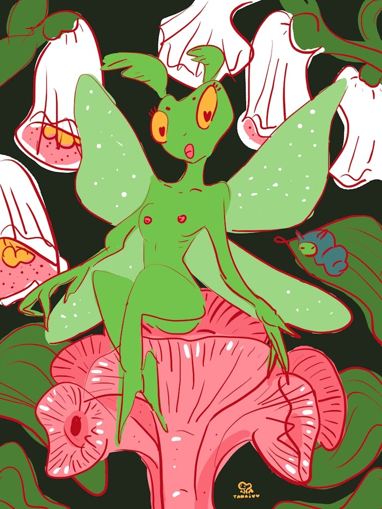 Moth on Pink Mushrooms