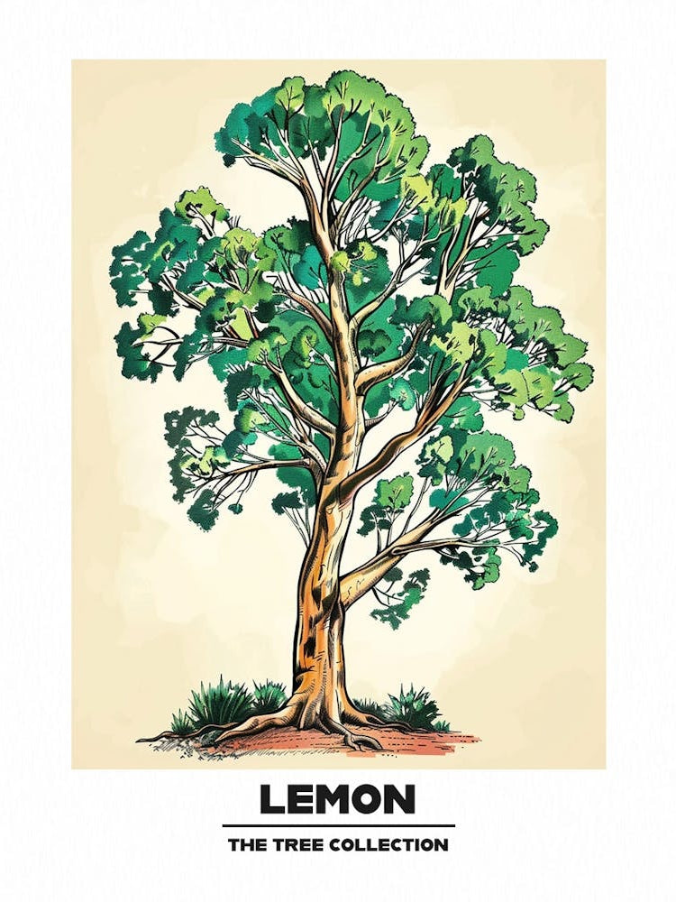 Lemon Tree Storybook Illustration 1 Poster