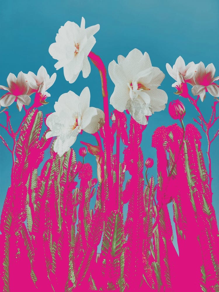 Popart Hot Pink Desert Collage