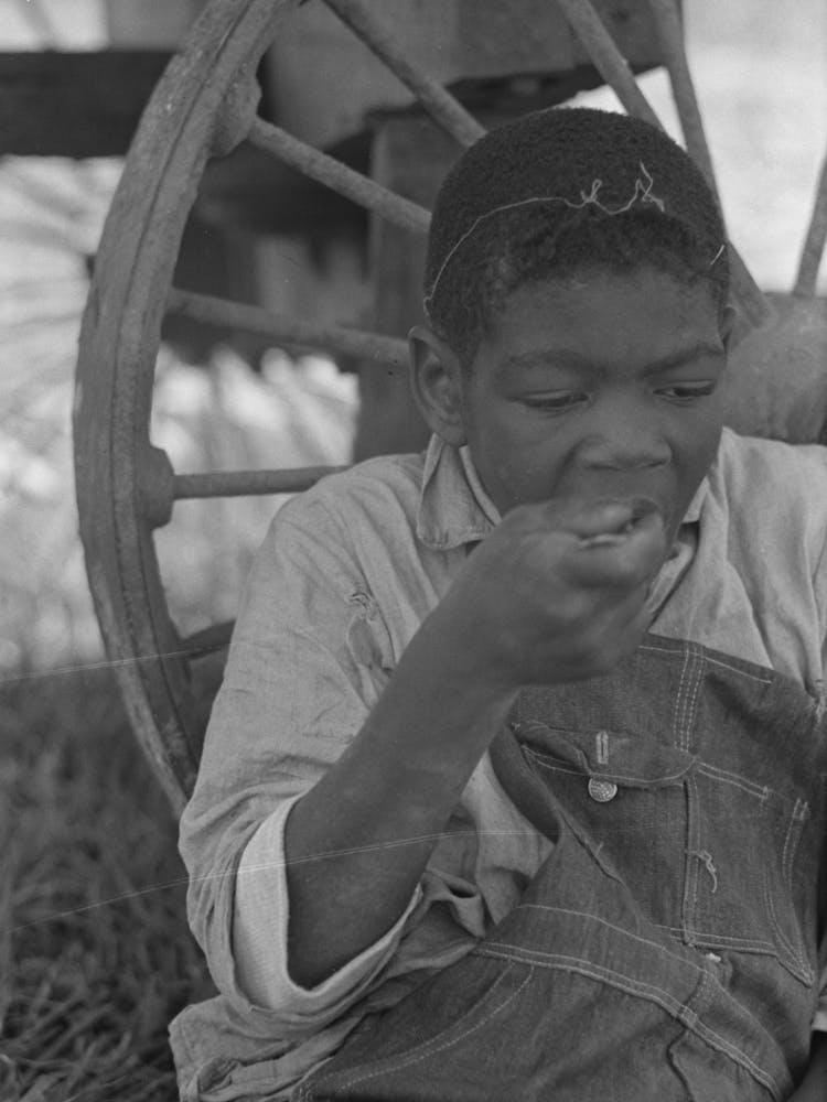 A Boy Eating Lunch By Wagon In Sugarcane Field Near New Iberia, Louisiana By Russell Lee