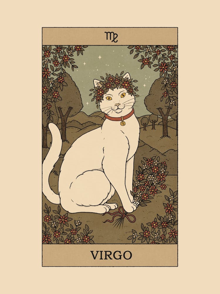 Virgo Cat