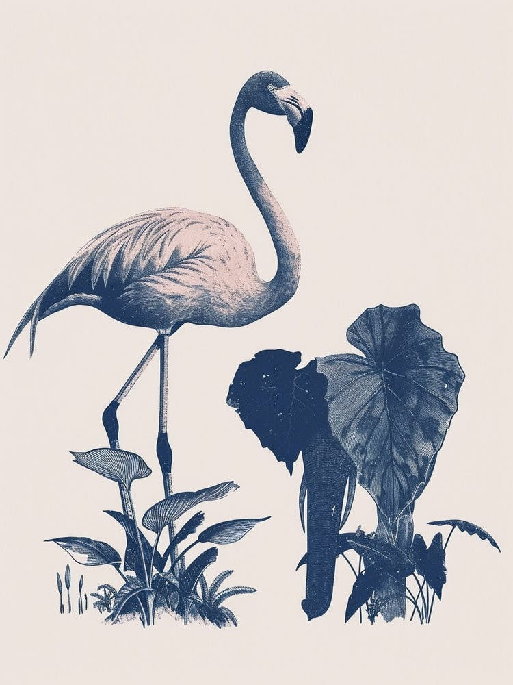 Andean Flamingo And Alocasia Elephant Ear Minimalist Illustration 3