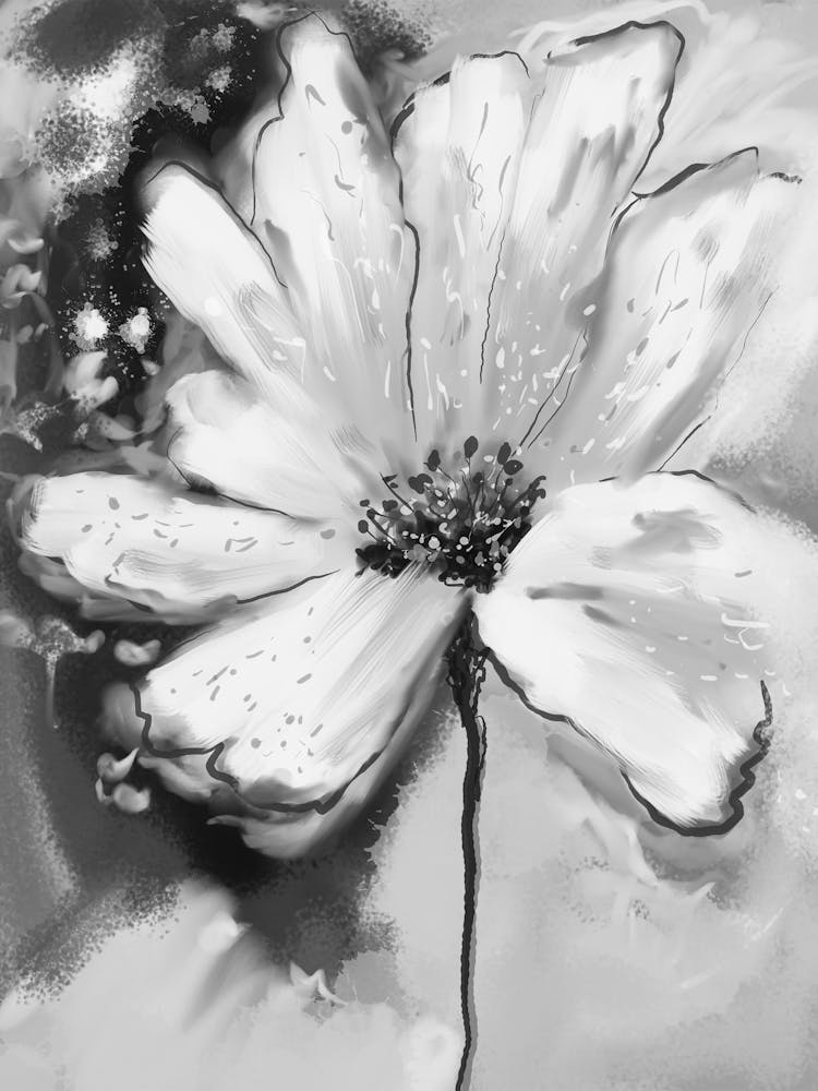 Schwarz und Weiß Blume 12