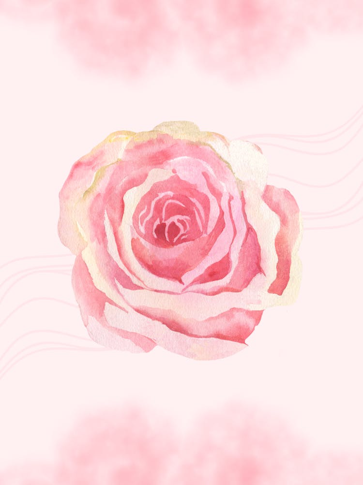 Pink Rose Watercolor Painting