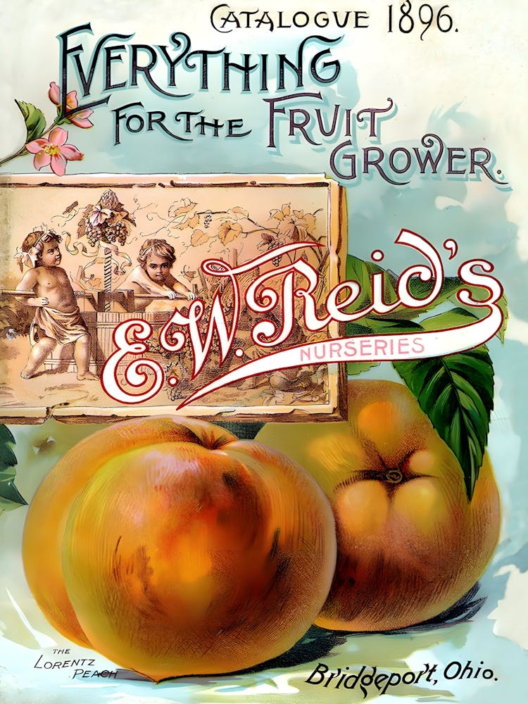 Everything For The Food Grower Catalog, Vintage Cover Poster
