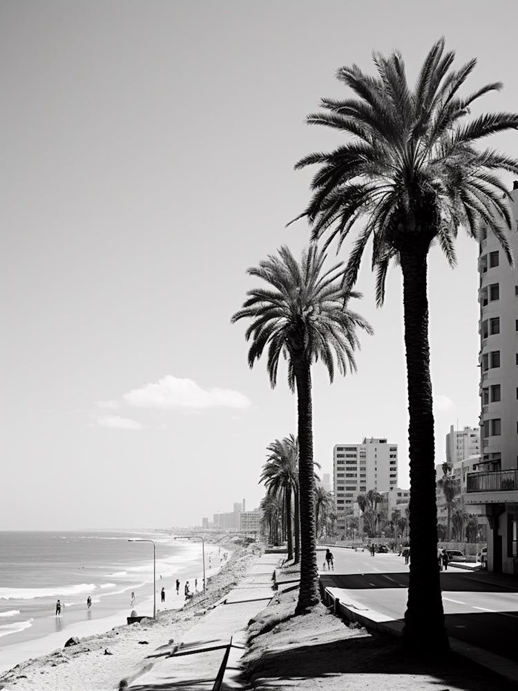 Tel Aviv Israel Mediterranean Black And White Photography Analogue 8