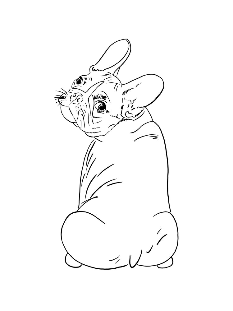 French Bulldog Frenchie Line Art