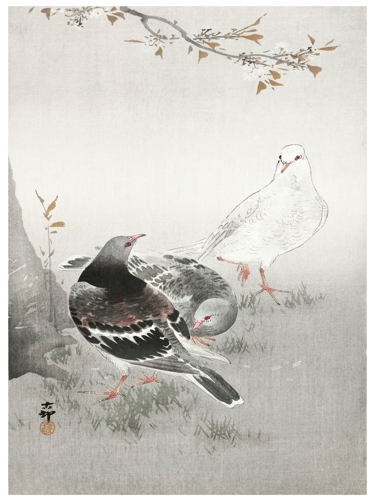 Three Pigeons (1900 1930), Ohara Koson