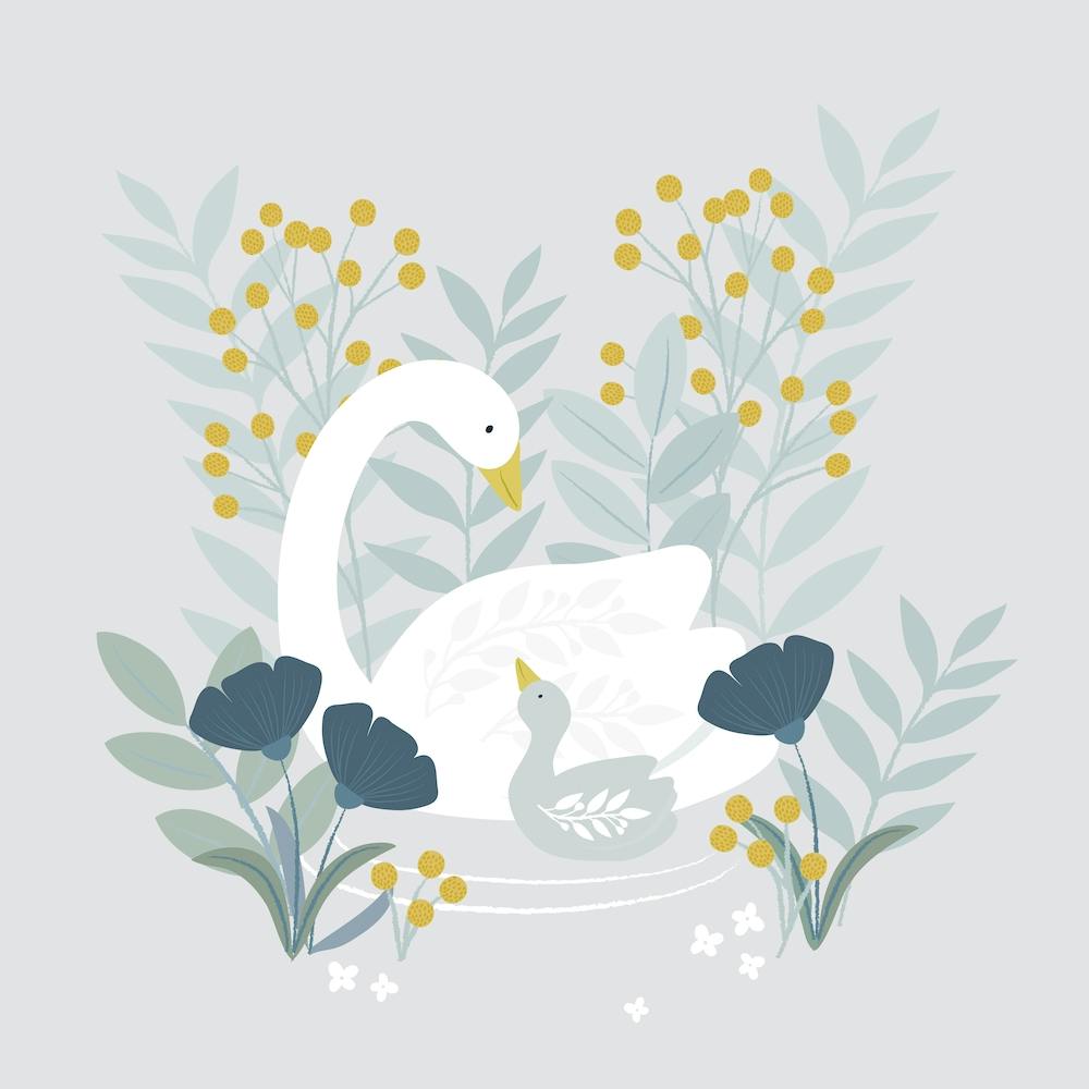 Mother And Baby Swan