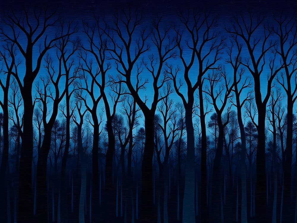 Dark Forest At Night