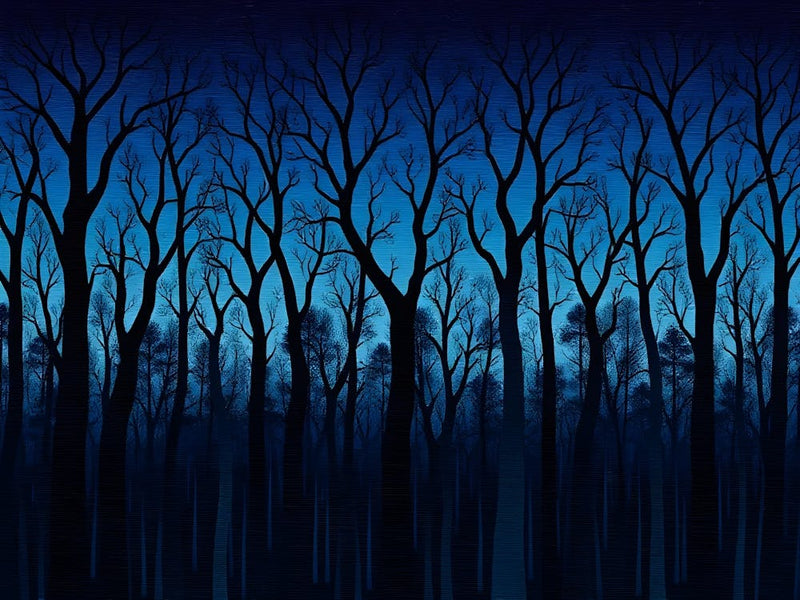 Dark Forest At Night