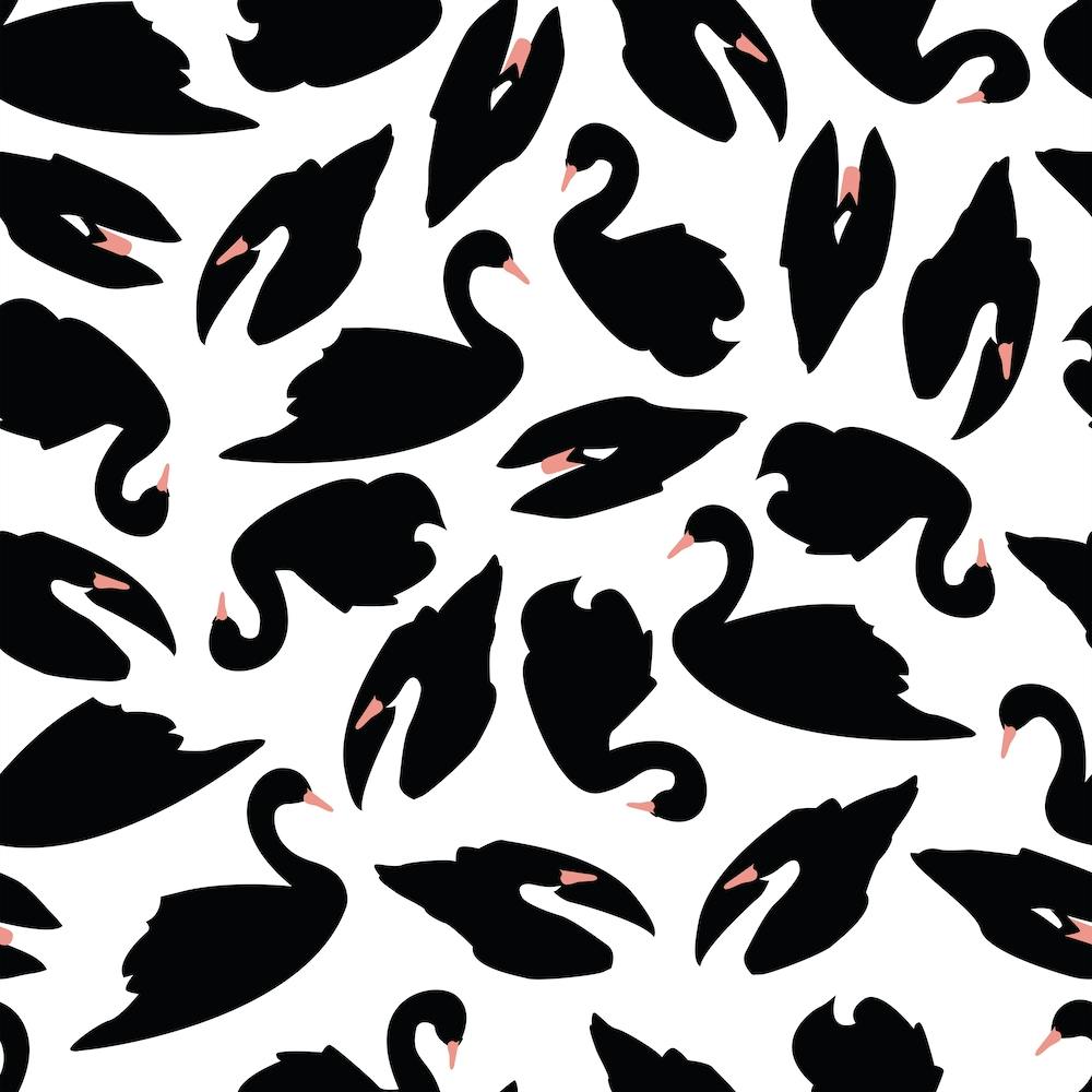 Black Swan Pattern On White Square