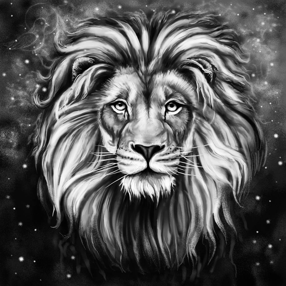 Black and White Lion 1