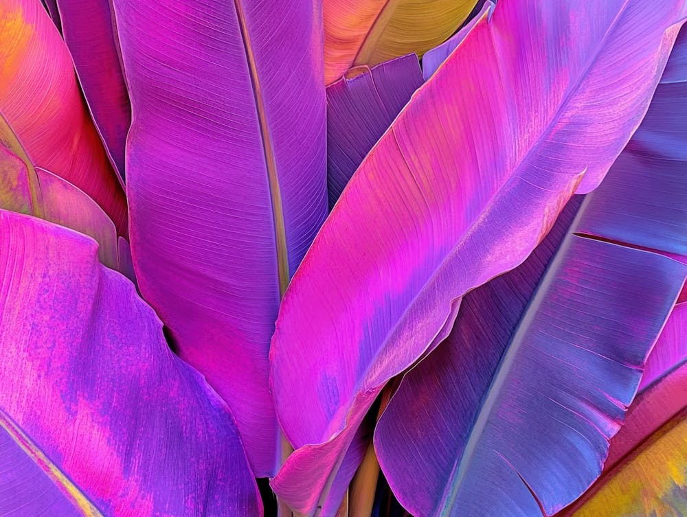 Colorful Banana Leaves