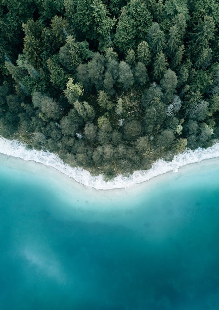 Calm Lake And Forest From Above
