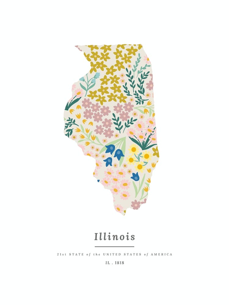 Illinois | Wildflower Mix