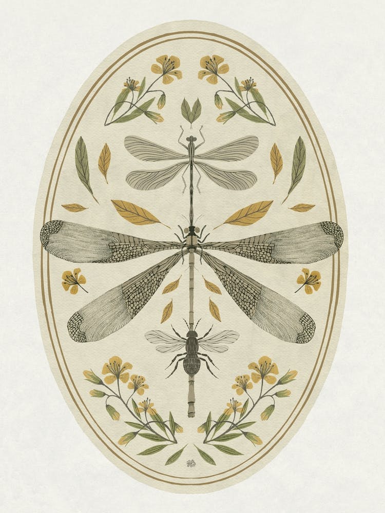 Dragonfly Day insect art