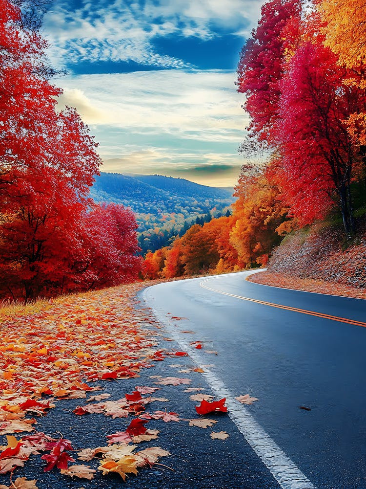 Autumn Road 1