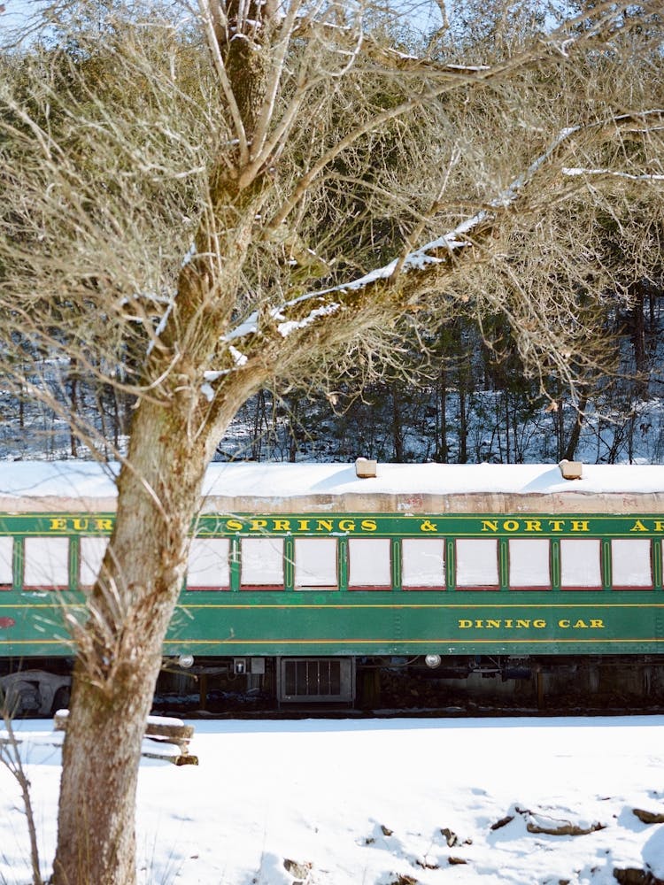 Eureka Springs Snow on Film