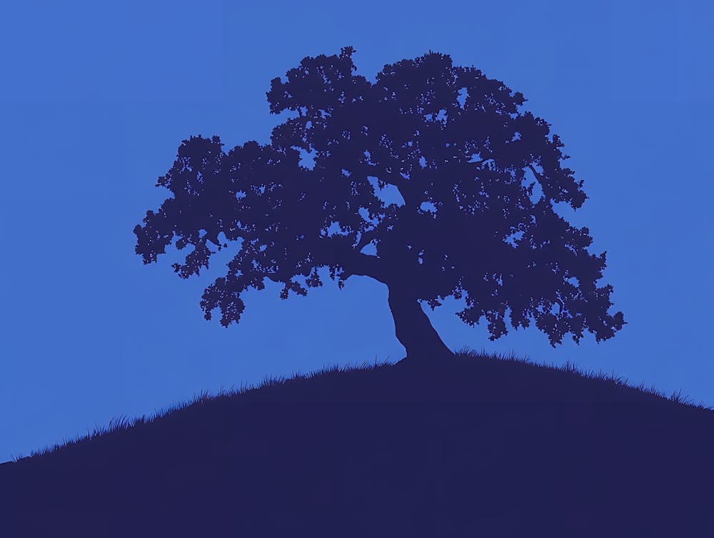 Tree On A Hill 3