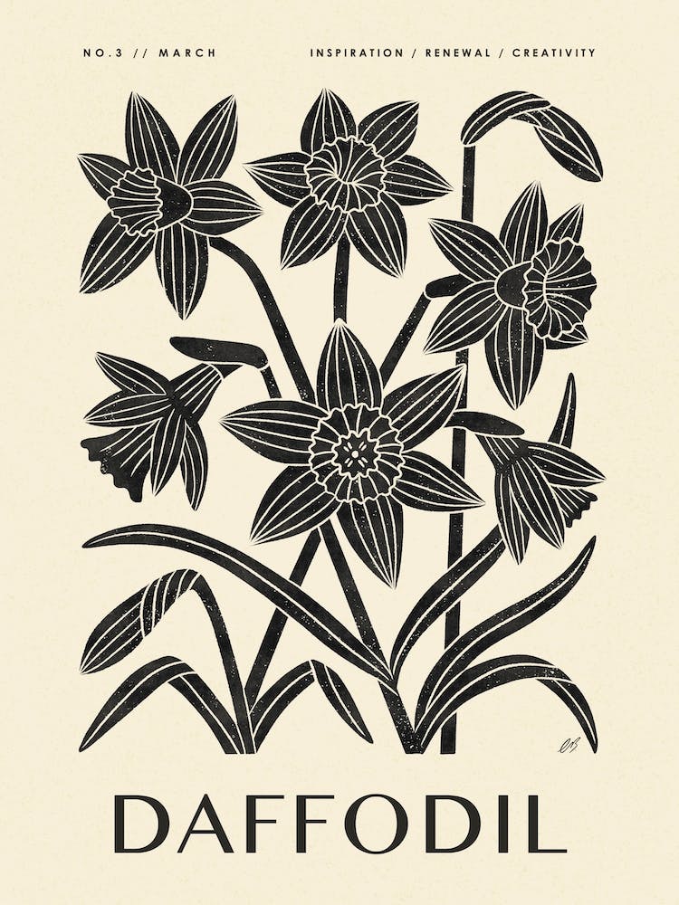 Rustic March Birth Flower Daffodil Black Cream