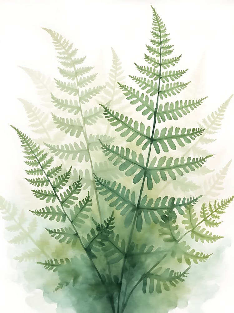 Subtle Sage Floral Overlay