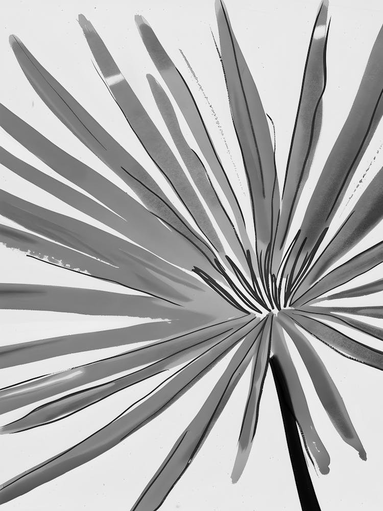 Schwarz-weiße Blume 47