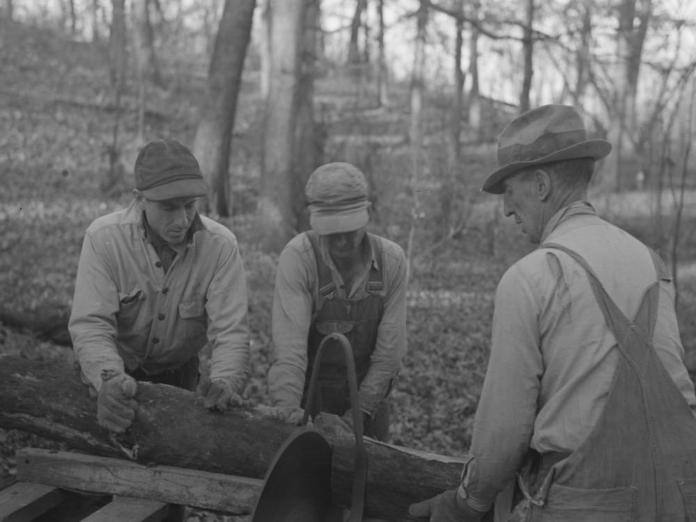 Untitled Photo, Possibly Related To Farmers Sawing Wood For Fuel In Timber Near Aledo, Illinois By Russell Lee