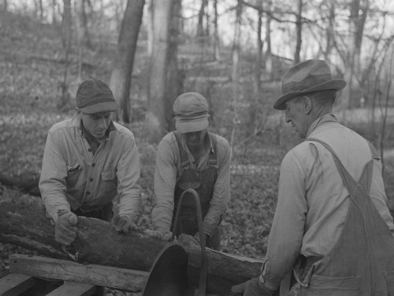 Untitled Photo, Possibly Related To Farmers Sawing Wood For Fuel In Timber Near Aledo, Illinois By Russell Lee