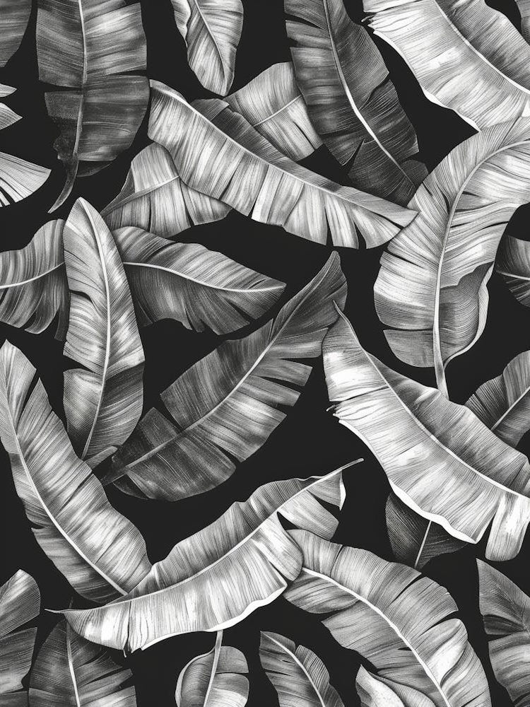 Black And White Banana Leaves 2