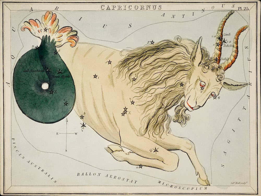 Sidney Hall’s (1831), Astronomical Chart Illustration Of The Zodiac Capricorn