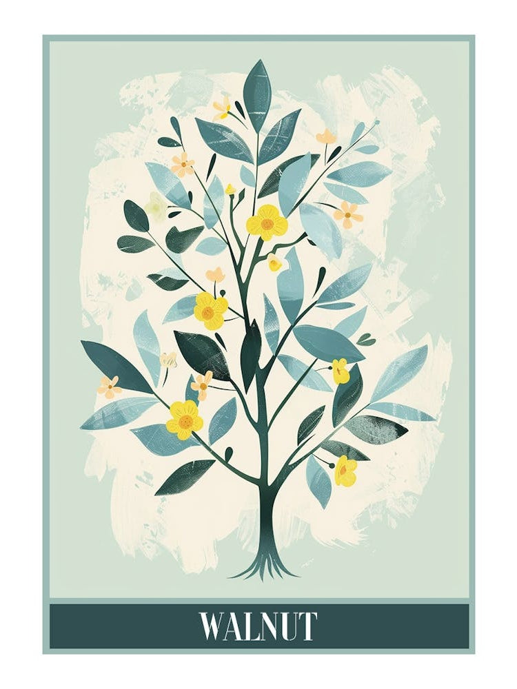 Walnut Tree Flat Illustration 8 Poster