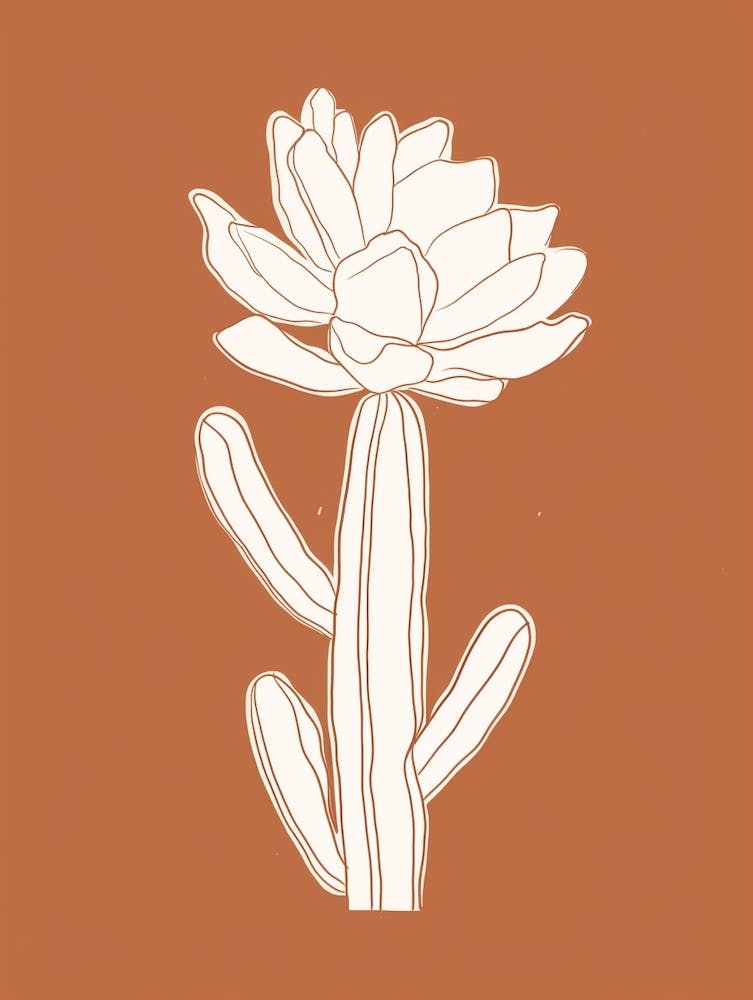 Cactus Line Drawing Acanthocalycium Cactus 4