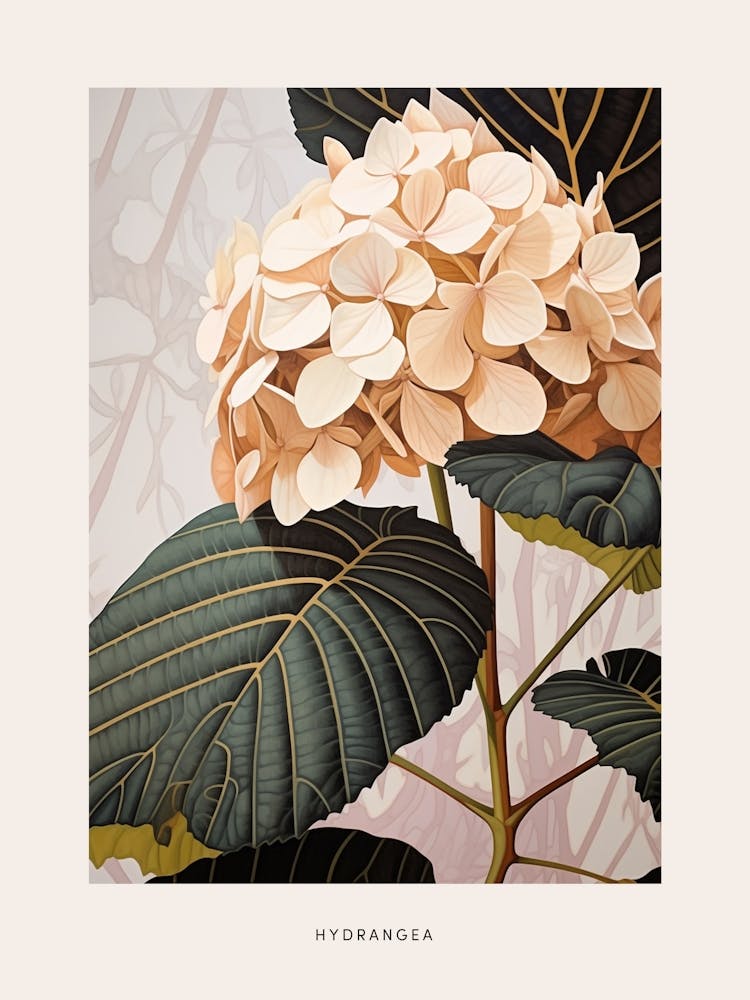 Flower Illustration Hydrangea 2 Poster
