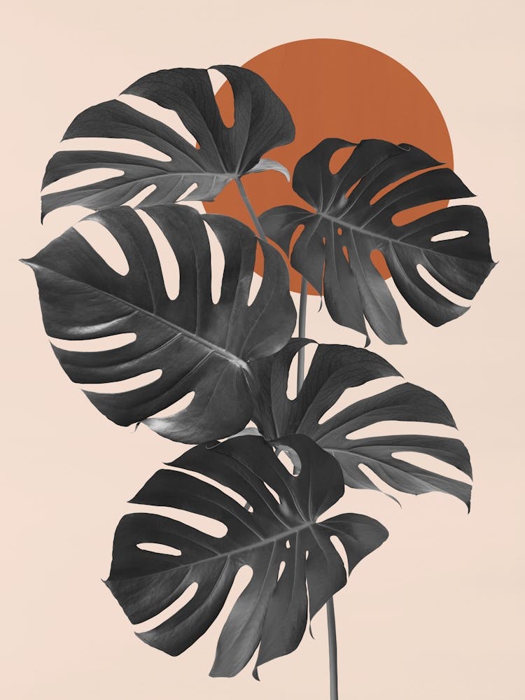 Floral collage 3