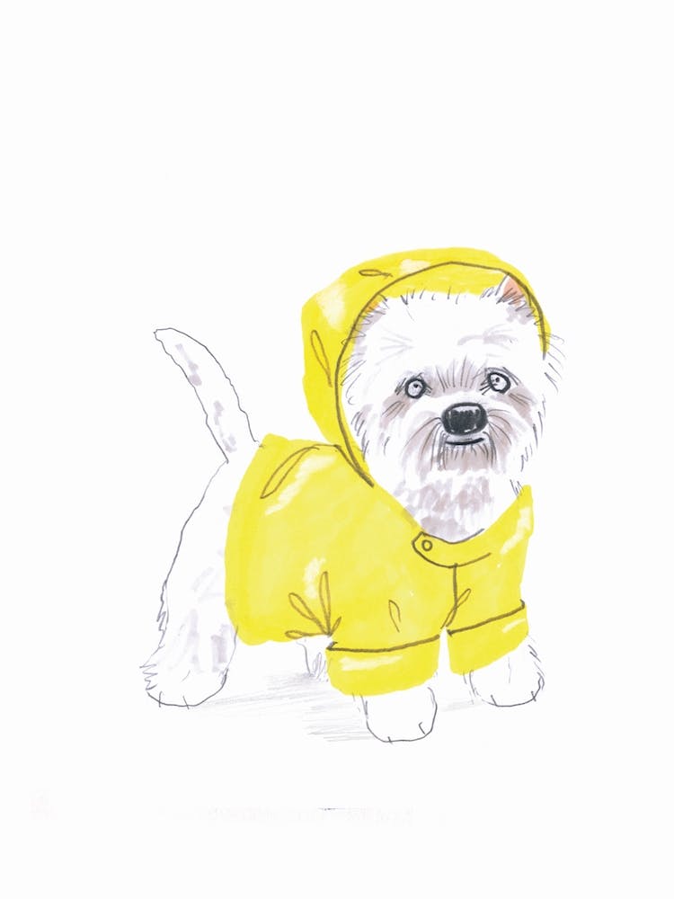 Westie Sou Wester