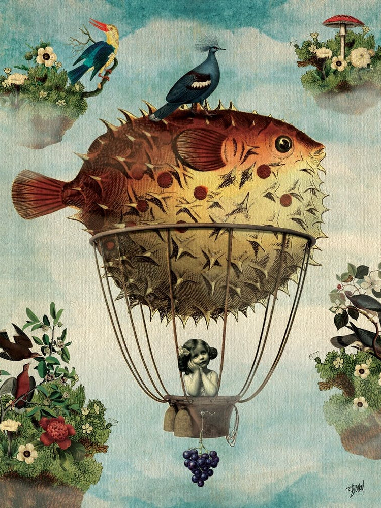 Air Balloon Fish