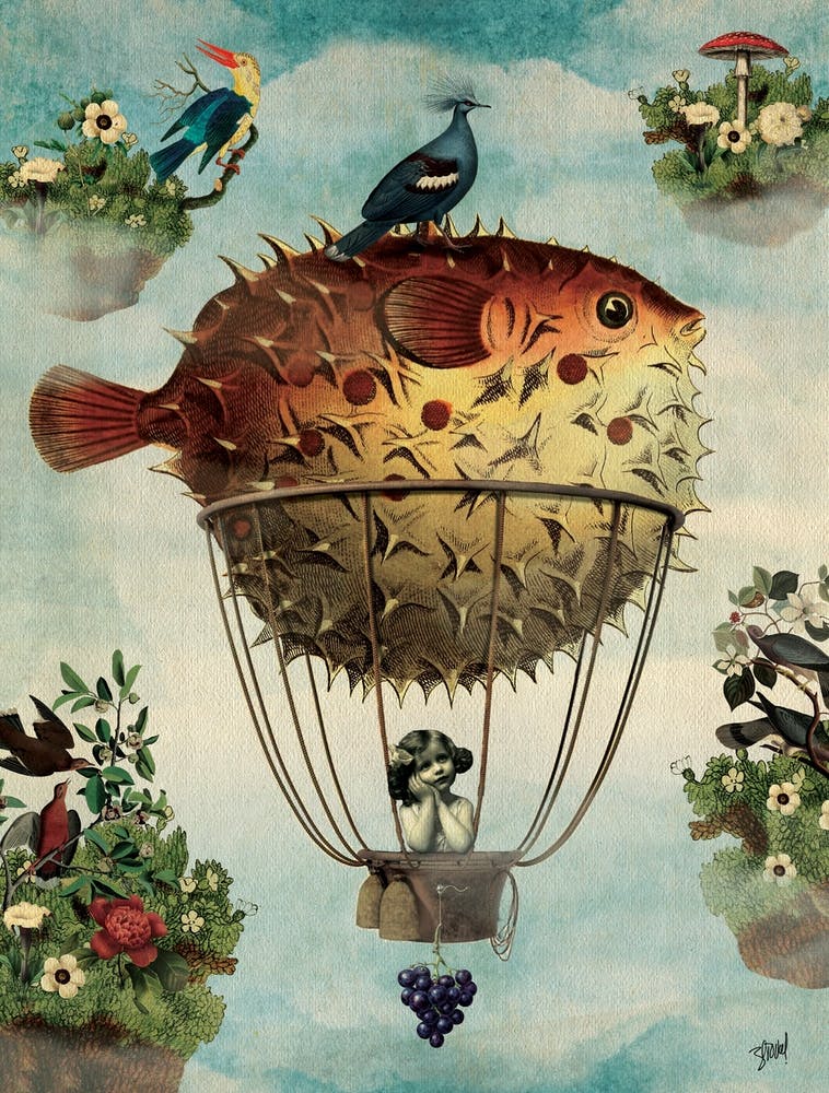Air Balloon Fish