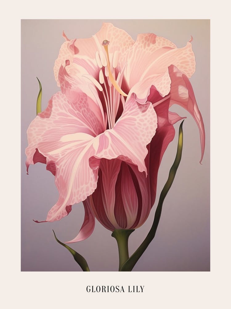 Florale Illustration Gloriosa-Lilie 2 Poster