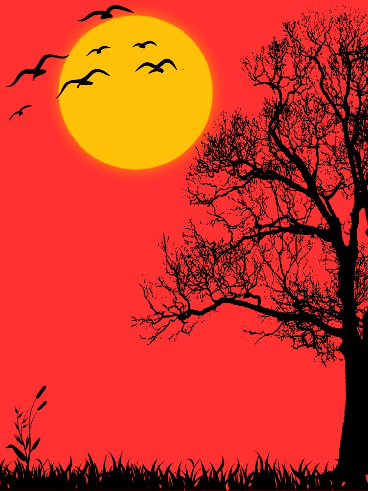Silhouette Of A Tree At Sunset 1