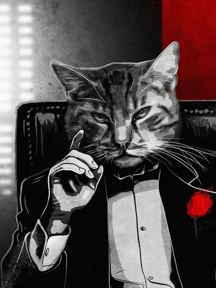 Cat In Tuxedo