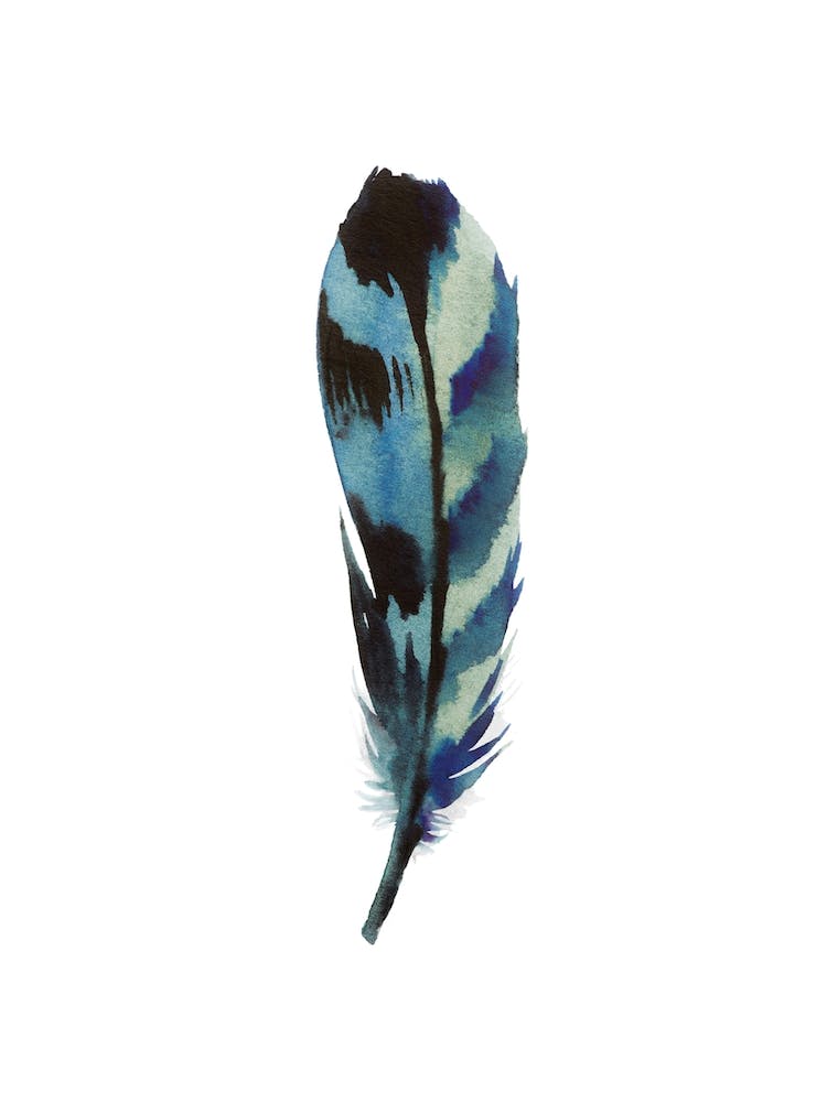 Feather Set 01