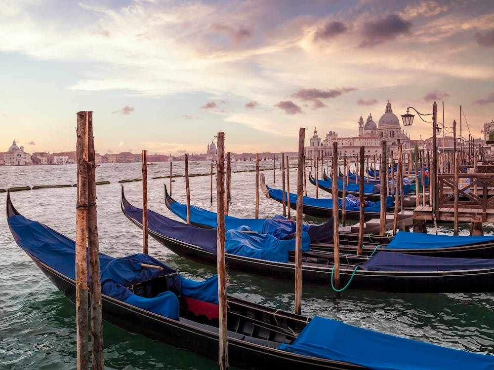 Venice Gondolas And Santa Maria Della Salute