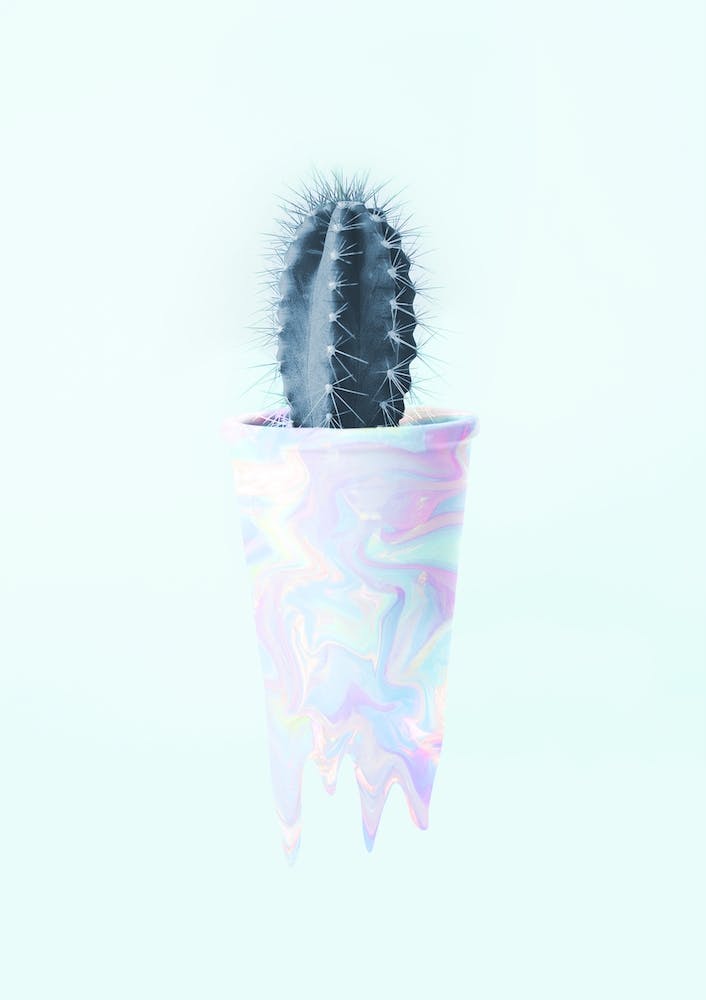Holographic Cactus