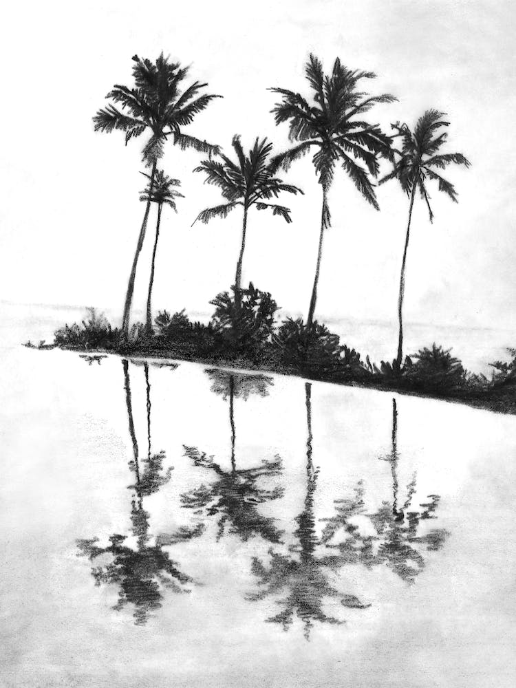 Palm Tree Reflections Black