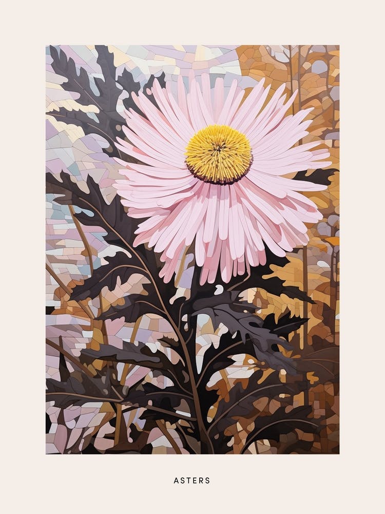 Flower Illustration Asters 2 Poster
