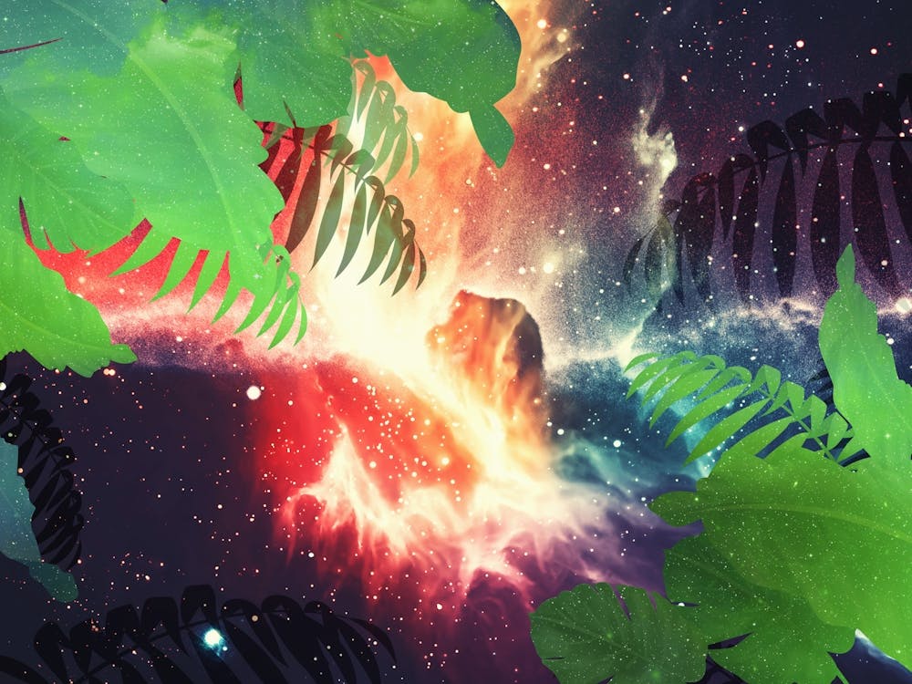 Jungle Synthwave Tropicale Néon Spatiale #6