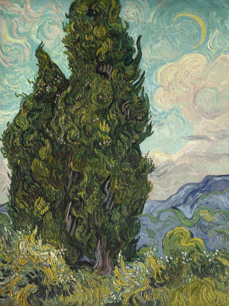 Cypresses, Vincent Van Gogh